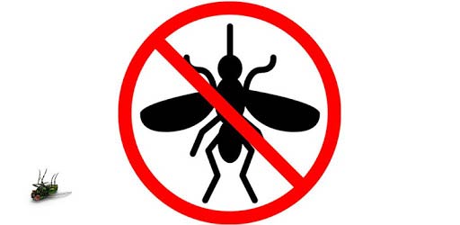 anti-mosquito-sound