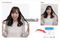 Remove Background Merah Online Termudah Tanpa Aplikasi 2 hapus-background-foto-ranpa-aplikasi