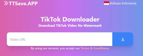 Web Download Video Tiktok Tanpa Watermark