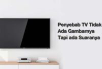 Penyebab TV Tidak Ada Gambarnya Tapi ada Suaranya
