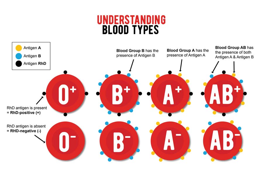Cara Cek Golongan Darah di Hp